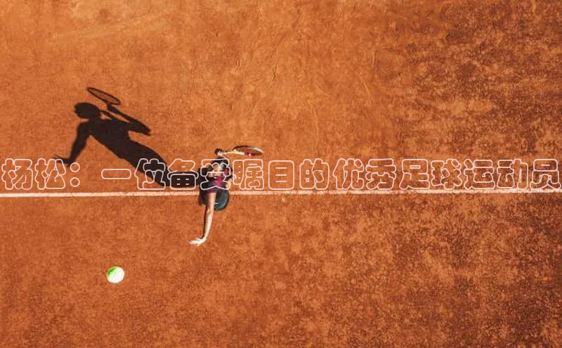 米乐yy易游体育App下载赛富乐斯杨松：一位备受瞩目的优秀足球运动员