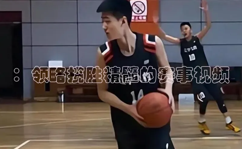 米乐yy易游体育App下载赛富乐斯：领略揽胜精髓的赛事视频