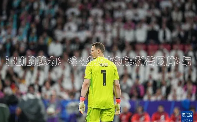 运动的魅力：<运动赛事知识科普图片>与