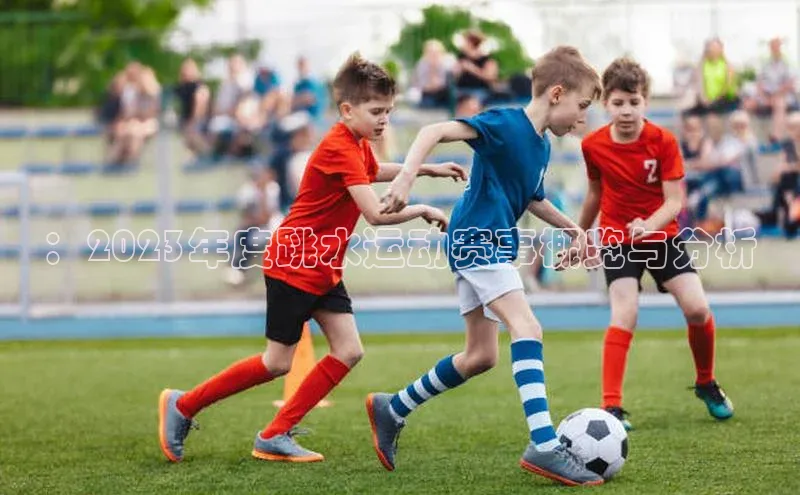 ：2023年度跳水运动赛事概览与分析