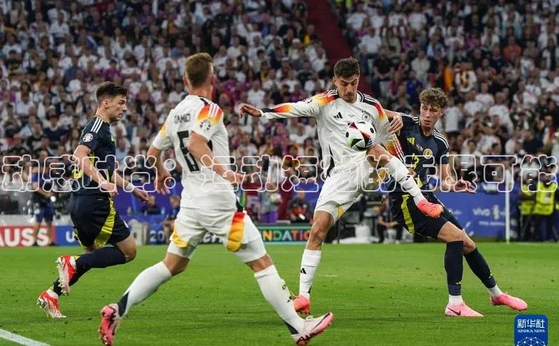 动感时尚：运动短袖的无限可能