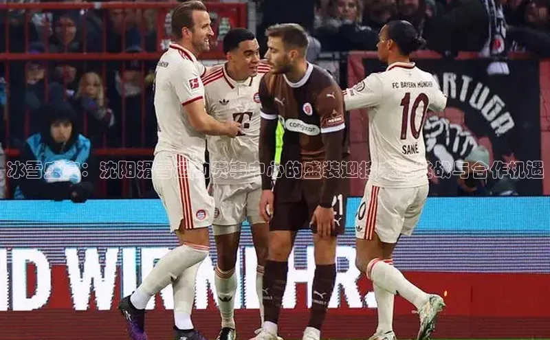 冰雪盛宴：沈阳滑雪运动赛事中心的盛装迎接未来挑战与合作机遇