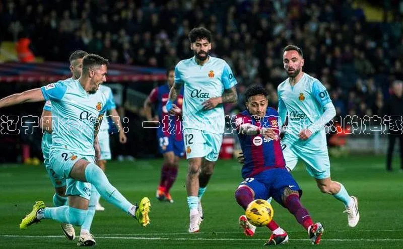 辽宁田径盛事：一场运动的盛宴与梦想的追逐