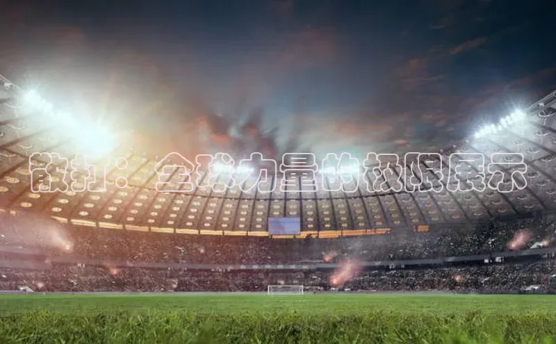 散打：全球力量的极限展示