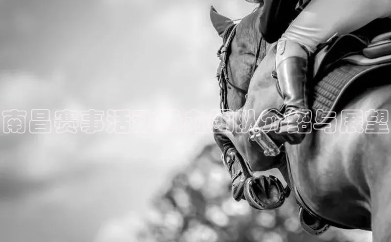 南昌赛事活动承办团队介绍与展望