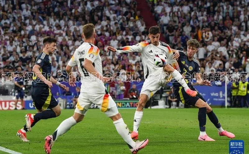 YY易游体育app下载