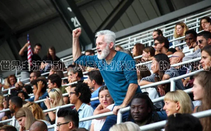 世界主流运动：从足球到极限运动的全面视野
