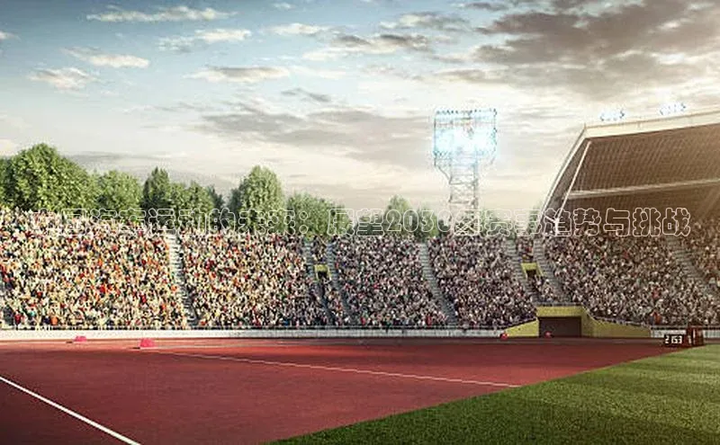 中国汽车运动的未来：展望2030年赛事趋势与挑战