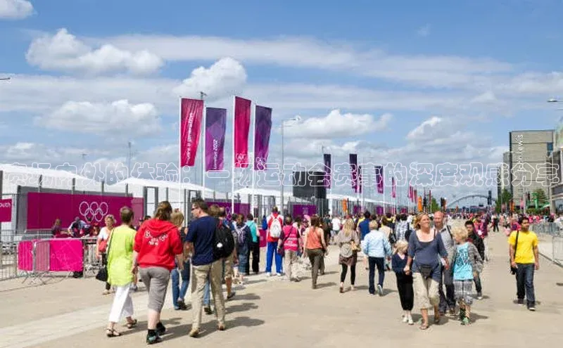 赛场内外的体验：一场运动会赛事的深度观感分享