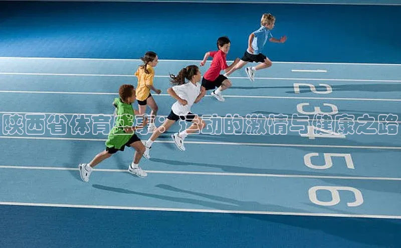 陕西省体育盛事：运动的激情与健康之路
